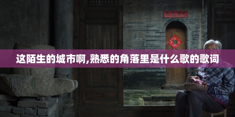 这陌生的城市啊,熟悉的角落里是什么歌的歌词