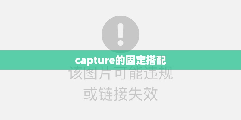 capture的固定搭配