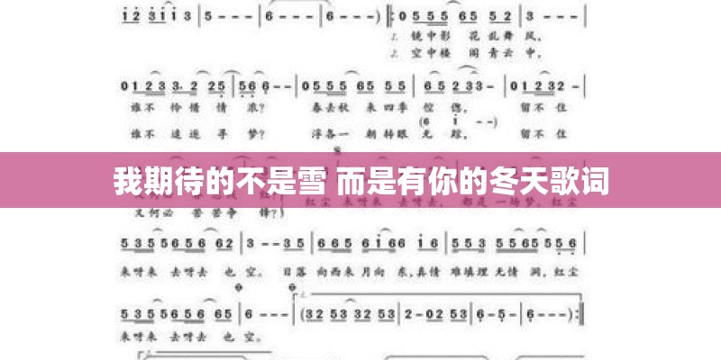 我期待的不是雪 而是有你的冬天歌词