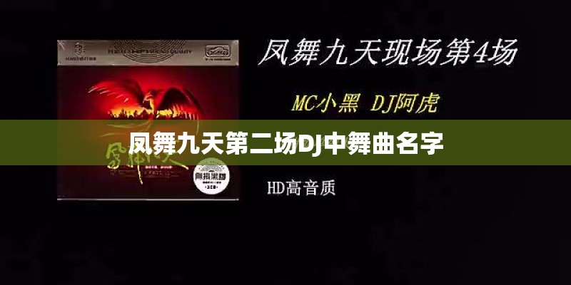 凤舞九天第二场DJ中舞曲名字