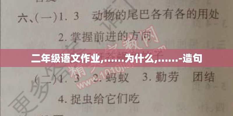 二年级语文作业,……为什么,……-造句