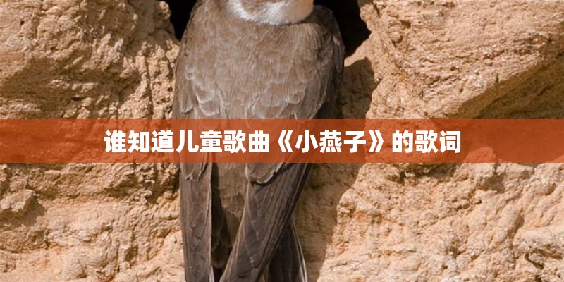 谁知道儿童歌曲《小燕子》的歌词