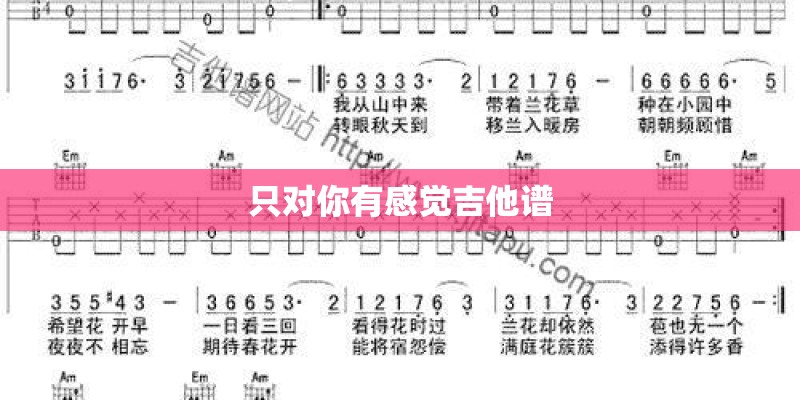 只对你有感觉吉他谱