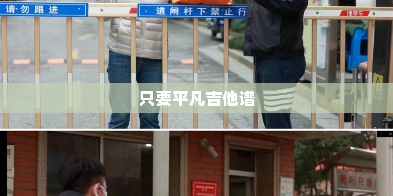 只要平凡吉他谱