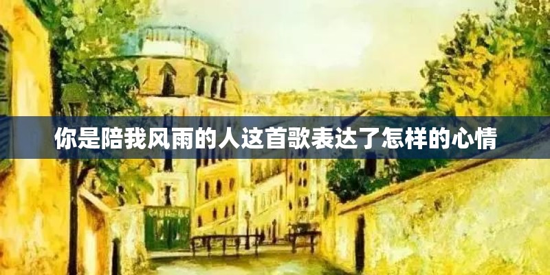 你是陪我风雨的人这首歌表达了怎样的心情