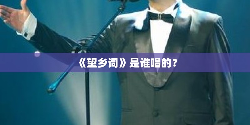 《望乡词》是谁唱的？