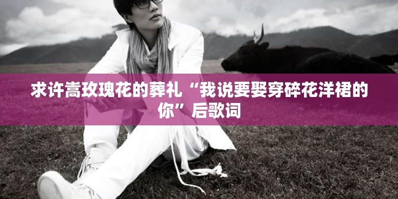 求许嵩玫瑰花的葬礼“我说要娶穿碎花洋裙的你”后歌词