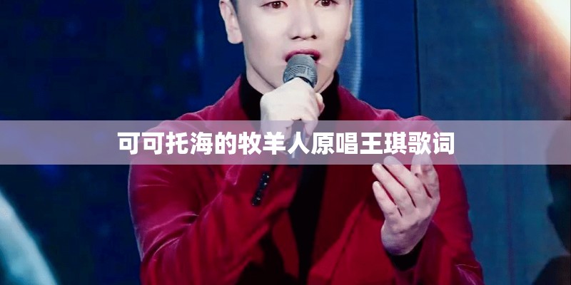 可可托海的牧羊人原唱王琪歌词