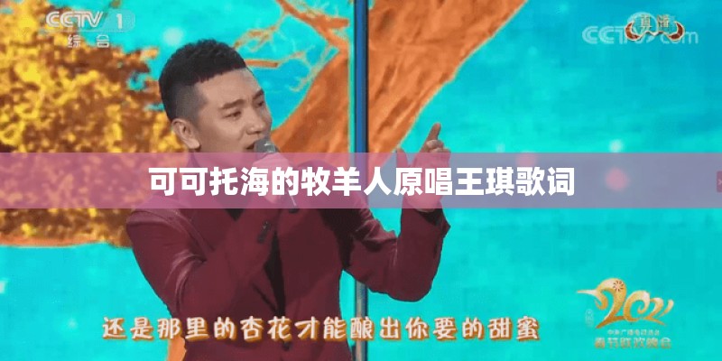 可可托海的牧羊人原唱王琪歌词