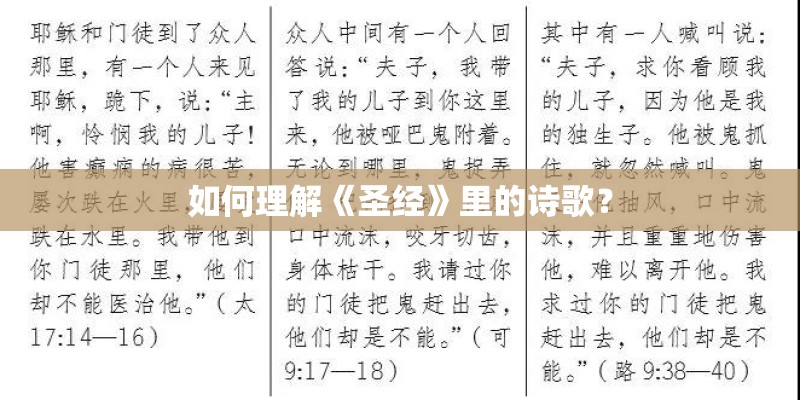 如何理解《圣经》里的诗歌？