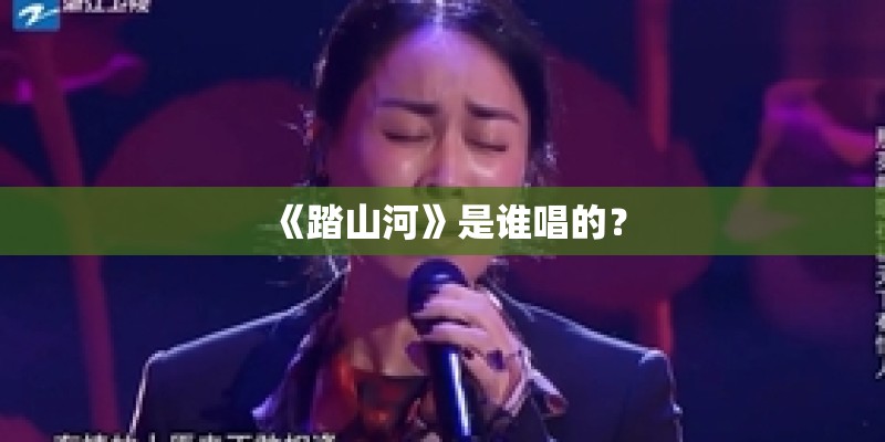 《踏山河》是谁唱的？