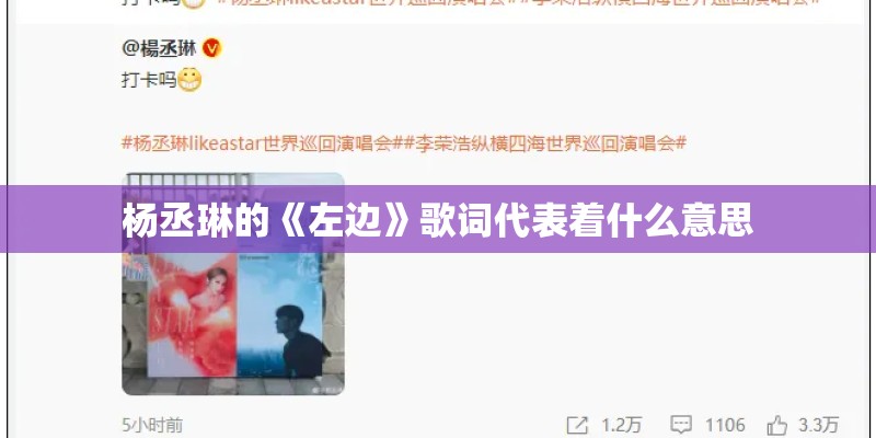 杨丞琳的《左边》歌词代表着什么意思