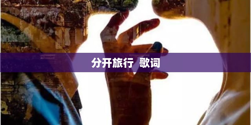 分开旅行  歌词