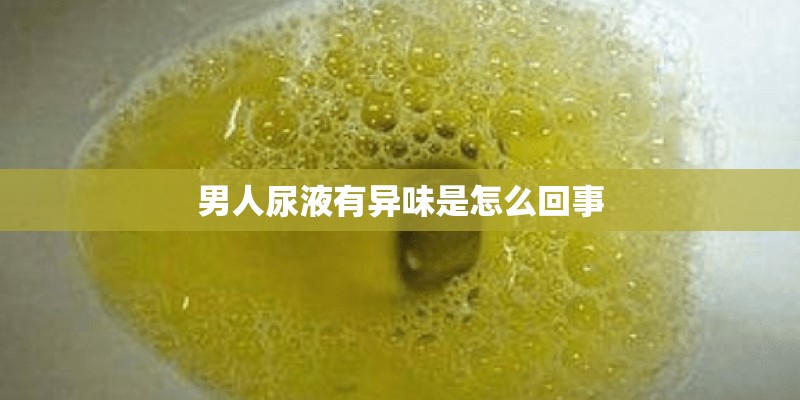 skateboard的中文翻译