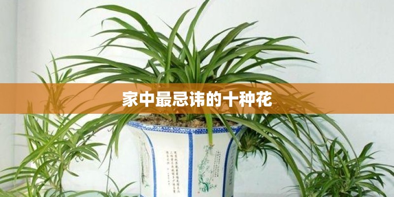 十大好听恰恰舞曲