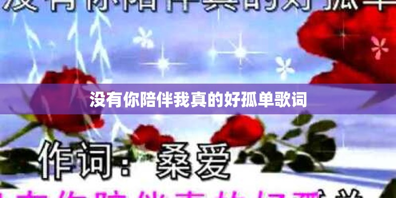 没有你陪伴我真的好孤单歌词