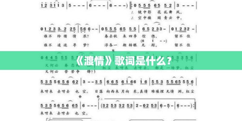 《渡情》歌词是什么？