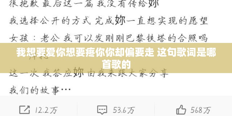 我想要爱你想要疼你你却偏要走 这句歌词是哪首歌的 我想要爱你想要疼你你却偏要走 这句歌词是哪首歌的